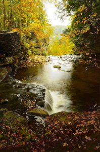 Water Falls and Canyon fall color, Letchworth State Park, New York.