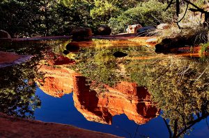 Puddle reflection on Munds Wagon Trail Sedona, AZ
