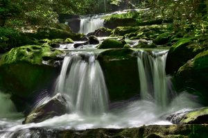 Middle Fork Little River in Great Smoky Mountain National Park