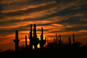Desert Sunset, Lost Dutchman State Park, AZ