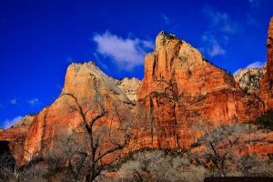 The Watchman Mountain in Zion National Park