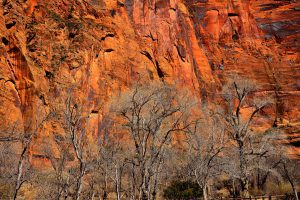 The Pulpit in Zion National Park