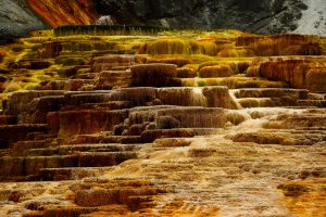 Minerva Terrace in the Mammoth Hot Springs area of Yellowstone National Park
