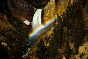 Lower Falls Rainbow in Yellowstone National Park