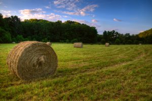 Hay field in Brown County Indiana