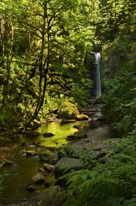 Weisendanger Falls Columbia River Gorge