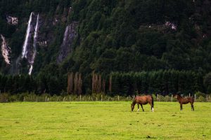 Patagonia