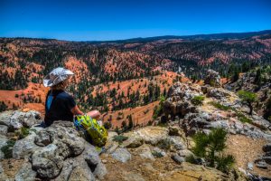 Overlooking Bryce Canyon National Park from Red Rock State park