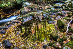 Great Smoky Mountain National Park