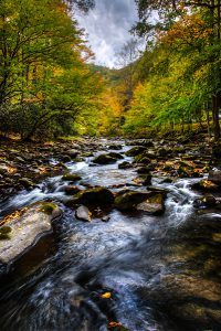 Great Smoky Mountain National Park