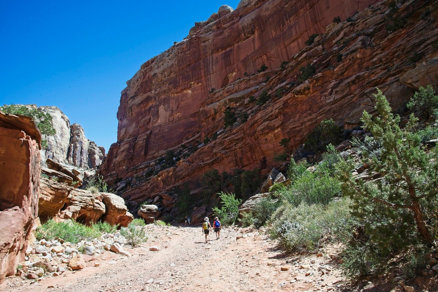 Capital Reef National Park