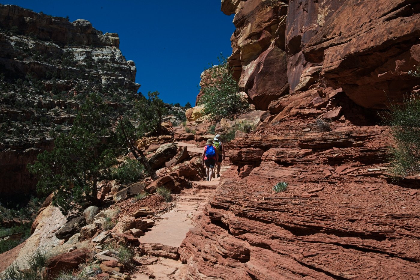 Capital Reef National Park