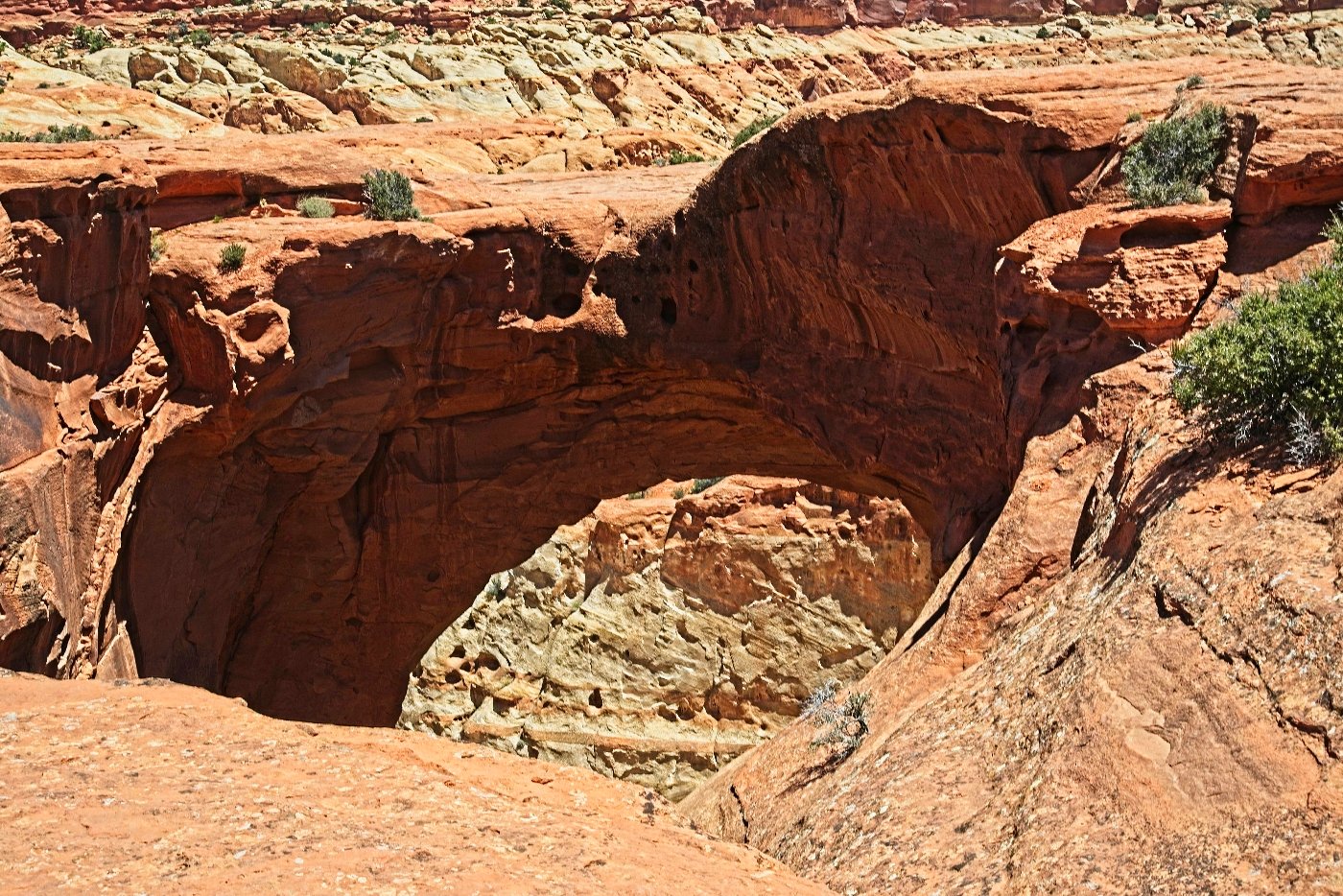 Cassidy Arch in Capital Reef National Park